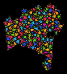 Bright vector cannabis Bahia State map mosaic on a black background. Template with bright weed leaves for weed legalize campaign. Vector Bahia State map is created with cannabis leaves.