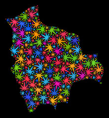 Bright vector cannabis Bolivia map collage on a black background. Template with bright weed leaves for hemp legalize campaign. Vector Bolivia map is created with marijuana leaves.