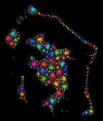 Bright vector cannabis Bora-Bora map mosaic on a black background. Template with bright weed leaves for cannabis legalize campaign. Vector Bora-Bora map is designed of weed leaves.