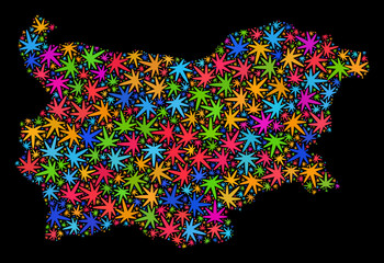 Bright vector marijuana Bulgaria map mosaic on a black background. Concept with colored weed leaves for weed legalize campaign. Vector Bulgaria map is constructed with weed leaves.