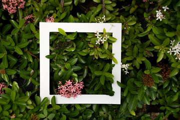 design layout on plant texture pattern with white paper creative space