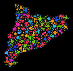 Bright vector cannabis Catalonia map collage on a black background. Concept with bright herbal leaves for cannabis legalize campaign. Vector Catalonia map is composed with cannabis leaves.