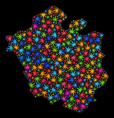 Bright vector cannabis Chandigarh City map mosaic on a black background. Concept with bright herbal leaves for cannabis legalize campaign. Vector Chandigarh City map is created with cannabis leaves.