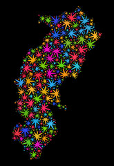 Bright vector marijuana Chhattisgarh State map collage on a black background. Concept with bright herbal leaves for cannabis legalize campaign.