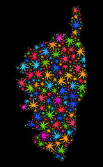 Bright vector marijuana Corsica map mosaic on a black background. Concept with colorful weed leaves for marijuana legalize campaign. Vector Corsica map is created from weed leaves.