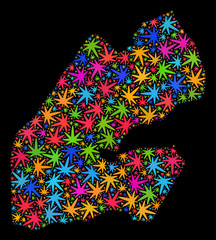 Bright vector marijuana Djibouti map mosaic on a black background. Concept with bright herbal leaves for marijuana legalize campaign. Vector Djibouti map is formed from herbal leaves.