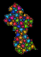 Bright vector marijuana Guyana map collage on a black background. Template with multi-colored herbal leaves for marijuana legalize campaign. Vector Guyana map is designed with marijuana leaves.