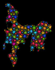 Bright vector marijuana Hamilton Island map mosaic on a black background. Template with psychedelic weed leaves for marijuana legalize campaign.