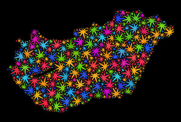 Bright vector marijuana Hungary map collage on a black background. Concept with colored weed leaves for marijuana legalize campaign. Vector Hungary map is designed from marijuana leaves.