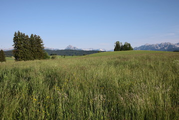 Fototapeta premium voralpenland