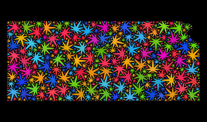 Bright vector cannabis Kansas State map collage on a black background. Concept with bright weed leaves for hemp legalize campaign. Vector Kansas State map is constructed with weed leaves.