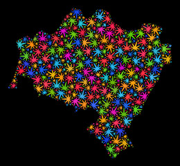 Bright vector marijuana Lower Silesian Voivodeship map collage on a black background. Template with bright weed leaves for marijuana legalize campaign.