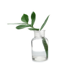 Lab glassware with exotic plant isolated on white. Organic chemistry