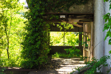 山の廃墟