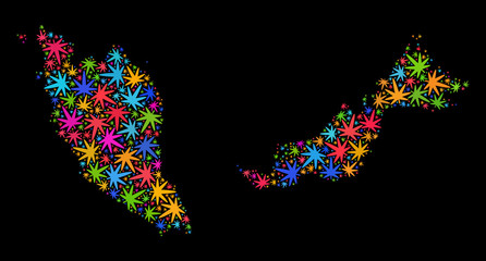 Bright vector cannabis Malaysia map collage on a black background. Template with psychedelic herbal leaves for cannabis legalize campaign. Vector Malaysia map is created with cannabis leaves.