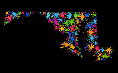 Bright vector cannabis Maryland State map mosaic on a black background. Concept with bright herbal leaves for cannabis legalize campaign. Vector Maryland State map is formed of cannabis leaves.