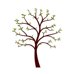 Green Tree with leaves on white background. Vector Illustration.