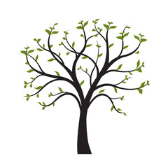 Fototapeta na wymiar Green Tree with leaves on white background. Vector Illustration.