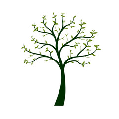 Green Tree with leaves on white background. Vector Illustration.