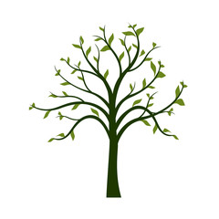 Green Tree with leaves on white background. Vector Illustration.