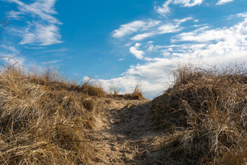 Plakat Path on the sand dune
