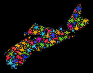 Bright vector marijuana Nova Scotia Province map collage on a black background. Concept with bright herbal leaves for hemp legalize campaign.