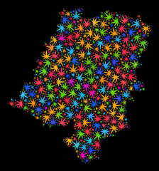 Bright vector marijuana Opole Voivodeship map mosaic on a black background. Concept with bright weed leaves for weed legalize campaign. Vector Opole Voivodeship map is created from marijuana leaves.