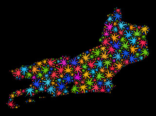 Bright vector cannabis Piaui State map mosaic on a black background. Template with bright weed leaves for weed legalize campaign. Vector Piaui State map is organized with weed leaves.