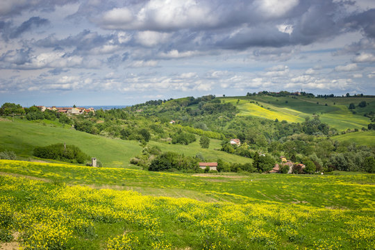 Spring colors in the Monferrato hills, Piedmont, Italy. Landscape with cloudy sky. © emmor