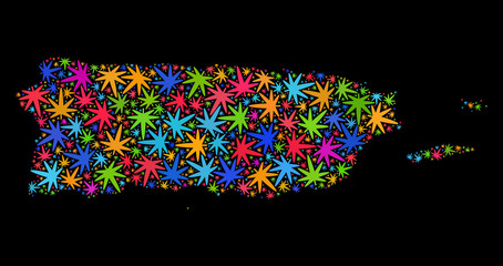 Bright vector cannabis Puerto Rico map mosaic on a black background. Template with colored weed leaves for weed legalize campaign. Vector Puerto Rico map is composed with cannabis leaves.