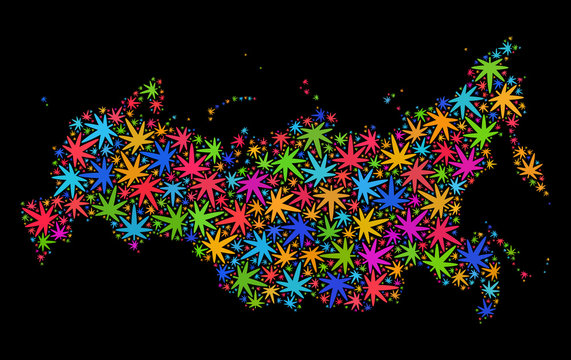 Bright vector cannabis Russia map collage on a black background. Template with psychedelic weed leaves for weed legalize campaign. Vector Russia map is created with weed leaves.