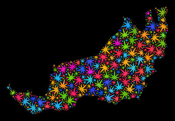 Bright vector marijuana Sarawak State map mosaic on a black background. Concept with colored herbal leaves for cannabis legalize campaign. Vector Sarawak State map is designed with herbal leaves.
