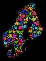 Bright vector cannabis Scandinavia map collage on a black background. Concept with colored herbal leaves for cannabis legalize campaign. Vector Scandinavia map is formed with ganja leaves.