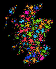 Bright vector marijuana Scotland map mosaic on a black background. Template with colorful weed leaves for marijuana legalize campaign. Vector Scotland map is created with marijuana leaves.