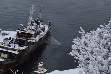 Природа  Авачинская бухта  Камчатка Россия Дальний восток