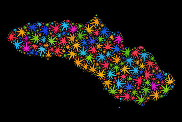 Bright vector marijuana Sumba Island map collage on a black background. Concept with bright weed leaves for marijuana legalize campaign. Vector Sumba Island map is composed from cannabis leaves.