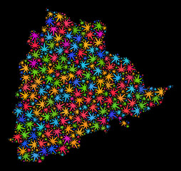 Bright vector marijuana Telangana State map mosaic on a black background. Concept with colored weed leaves for weed legalize campaign. Vector Telangana State map is constructed with marijuana leaves.