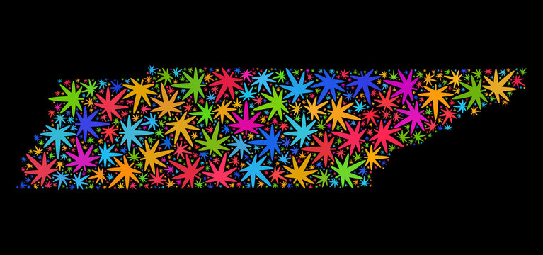 Bright vector cannabis Tennessee State map mosaic on a black background. Template with bright herbal leaves for weed legalize campaign. Vector Tennessee State map is created with herbal leaves.