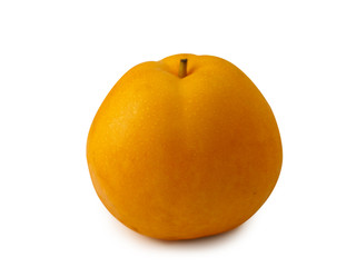 snow pear fruit on white background.(clipping path)