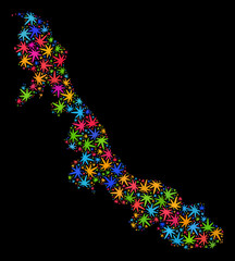 Bright vector cannabis Veracruz State map collage on a black background. Template with bright weed leaves for cannabis legalize campaign. Vector Veracruz State map is constructed from weed leaves.