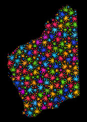 Bright vector cannabis Western Australia map collage on a black background. Template with colored weed leaves for cannabis legalize campaign.
