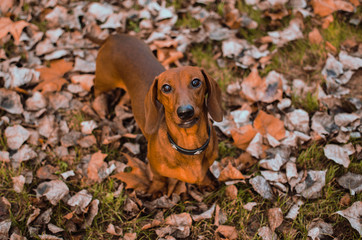 Look at me with tenderness