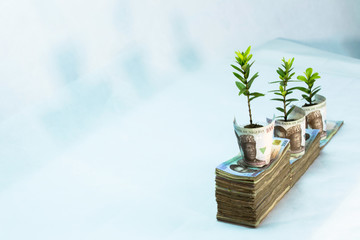 Money investment Growthy in naira white background