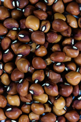 Beautiful Artistic Backdrops