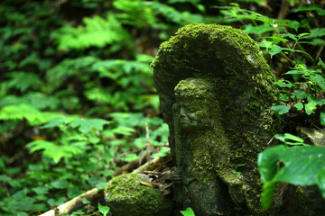 滝不動様