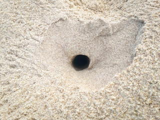 Crab hole on the sand of Pernambuco, Brazil 2019.