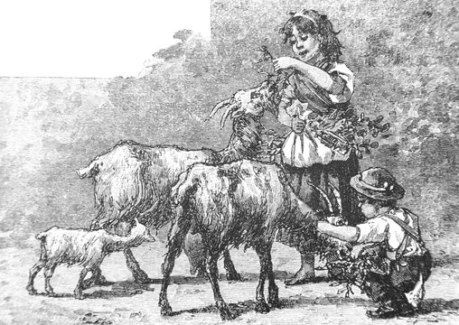 Children with goats - Vintage Engraved Illustration, 1894