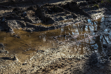 Close-up of mud