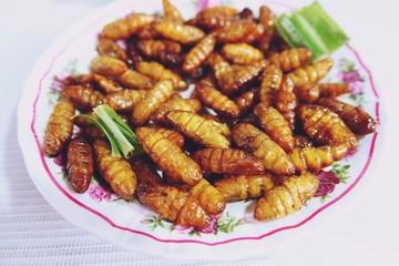 fried silk worms bamboo insect, popular snack street food in Thailand