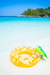 fancy swimming ring on the beach